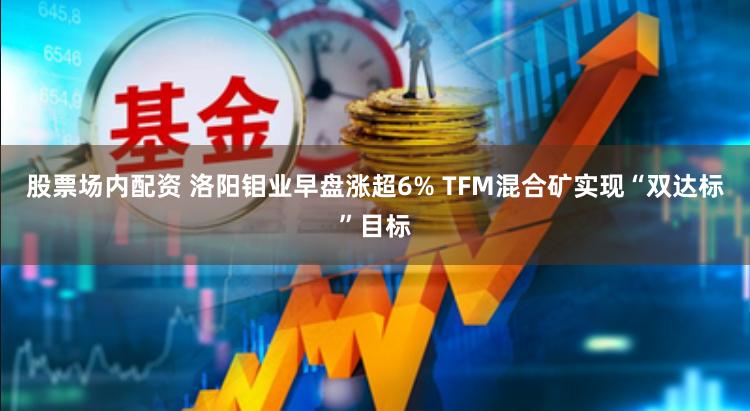 股票场内配资 洛阳钼业早盘涨超6% TFM混合矿实现“双达标”目标