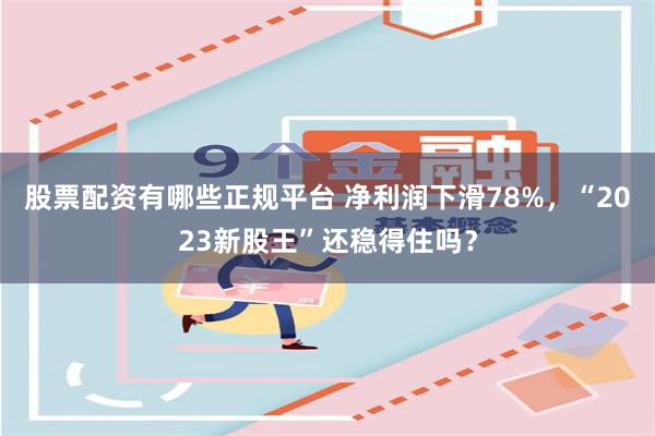 股票配资有哪些正规平台 净利润下滑78%，“2023新股王”还稳得住吗？