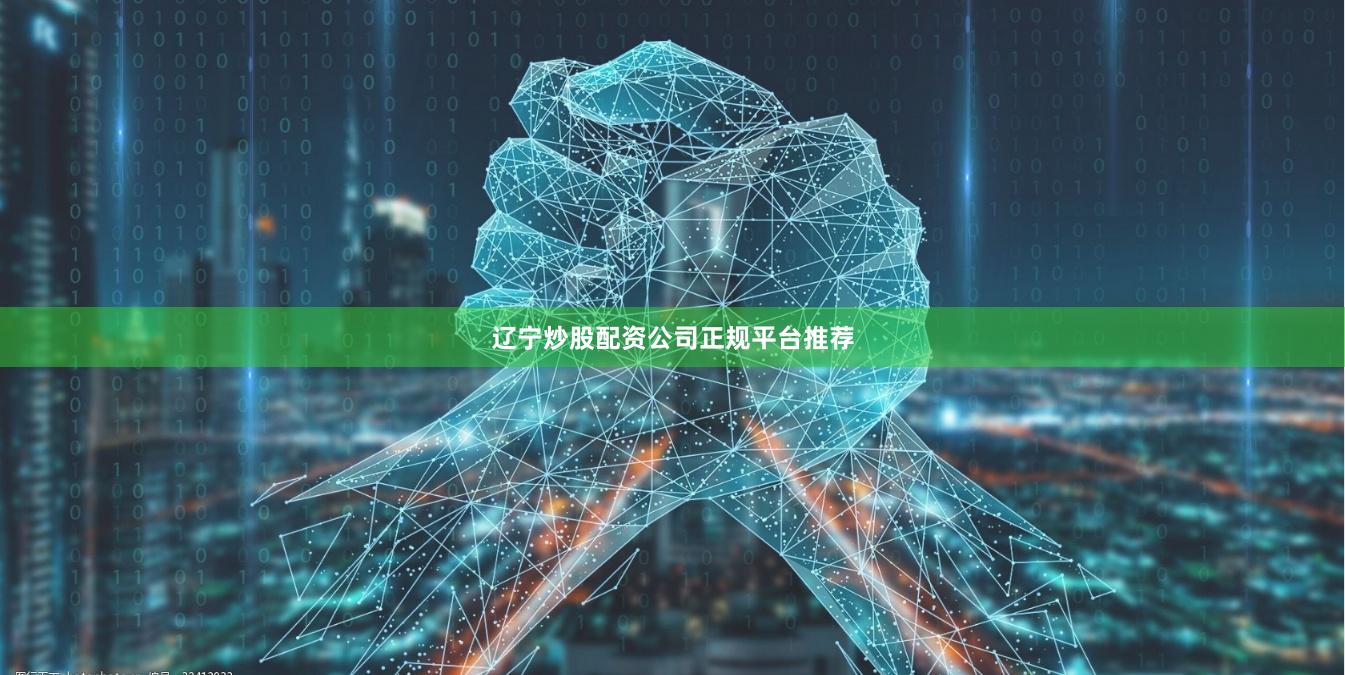 辽宁炒股配资公司正规平台推荐