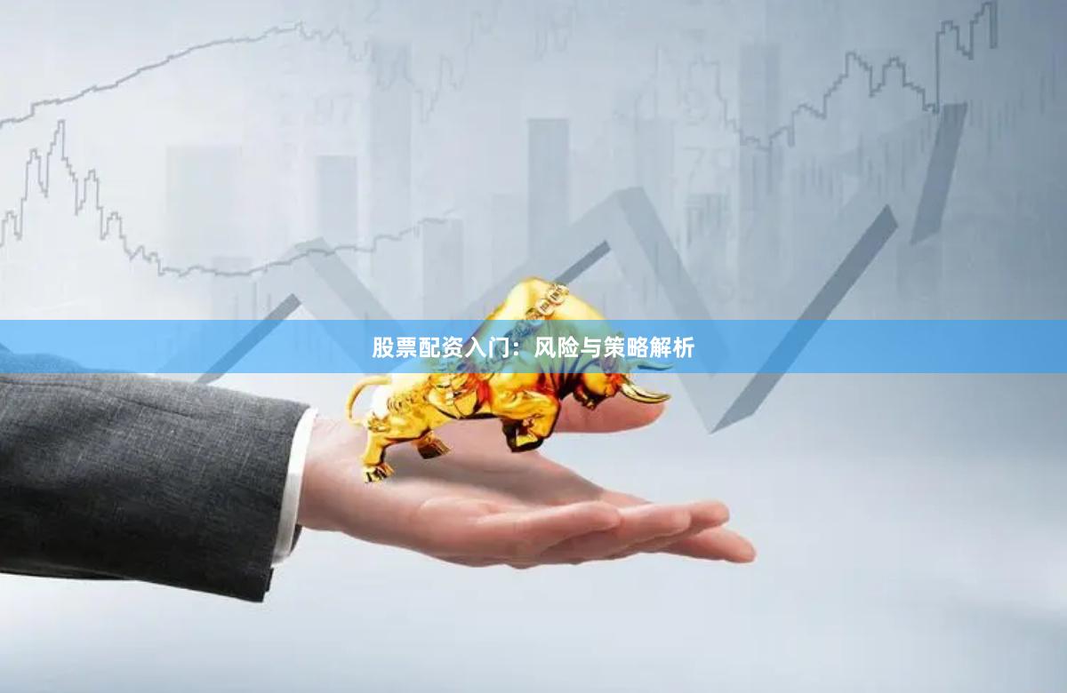 股票配资入门：风险与策略解析
