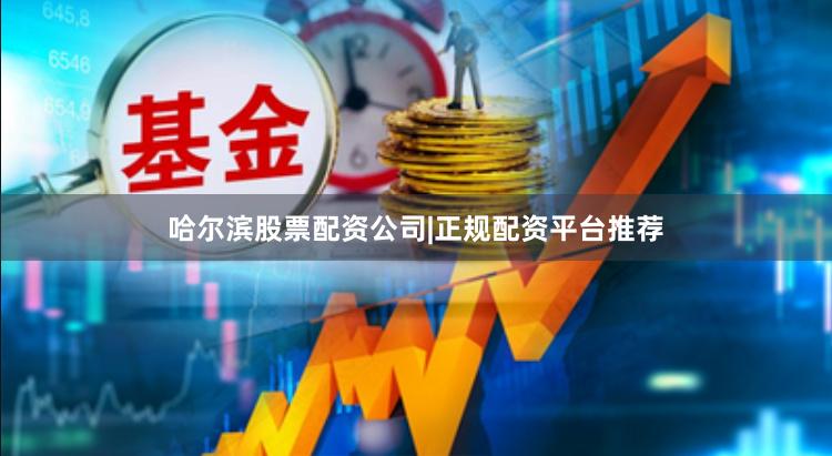 哈尔滨股票配资公司|正规配资平台推荐