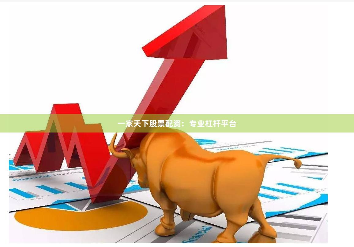 一家天下股票配资：专业杠杆平台